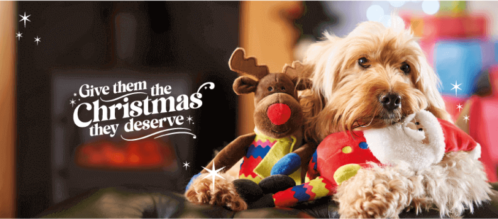 Alsa hundewel Weihnachtsgeschenke Gutscheincodes