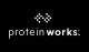 Protein Works